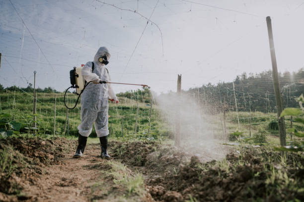 Best Best Pest Control Companies  in Lake Landor, VA