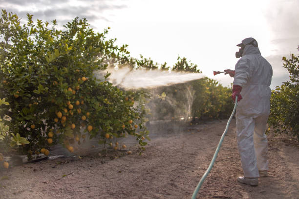 Best Affordable Pest Control Services  in Lake Landor, VA