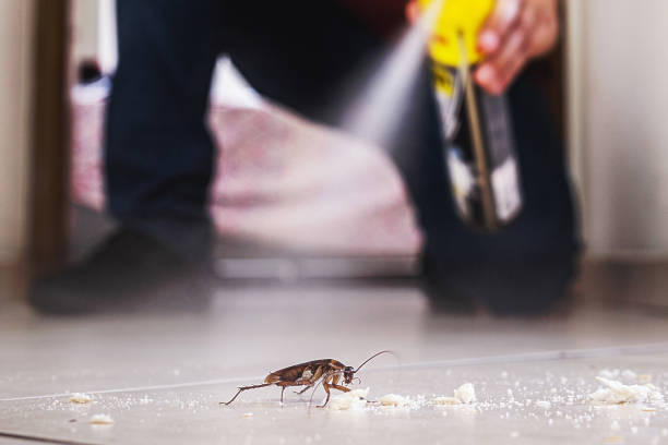 Best Pest Control Near Me  in Lake Landor, VA